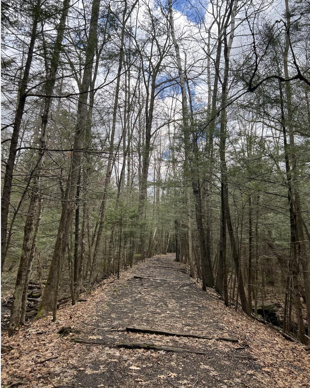 Prattvilla -Catskill -Mountain Escape 5 Bedroom ,3 Bath With Hot Tub Prattsville Luaran gambar